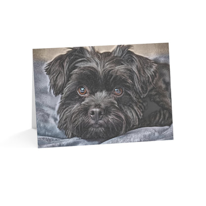 Affenpinscher Greeting Card Set | Oil Painting Affenpinscher Dog Lover Gift