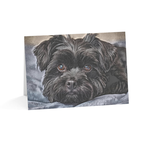 Affenpinscher Greeting Card Set | Oil Painting Affenpinscher Dog Lover Gift