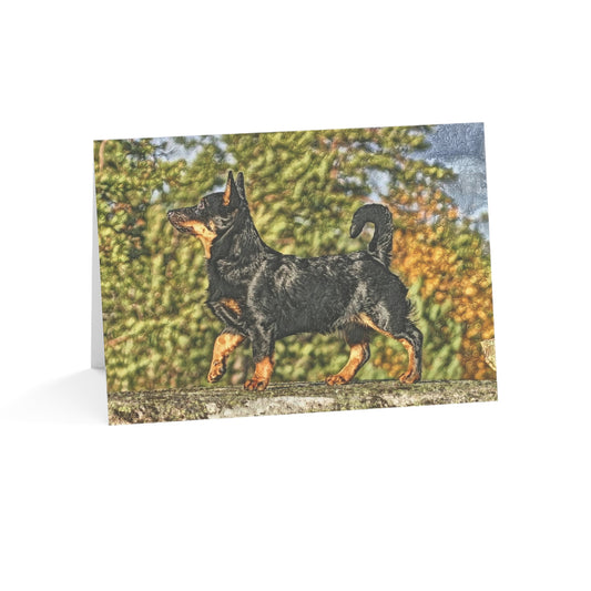 Lancashire Heeler Greeting Cards | 5x7 Rare Dog Breed Note Cards | Sets of 10, 30, 50