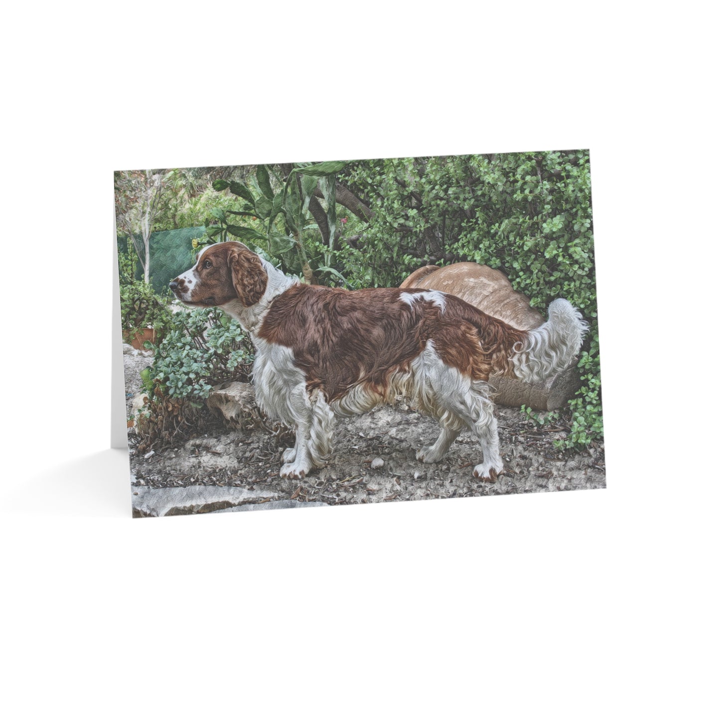 Welsh Springer Spaniel Greeting Cards – Dog Lover Stationery – Artistic Spaniel Portrait
