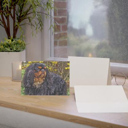 King Charles Spaniel Greeting Cards | 5x7 Dog Lover Cards | Sets of 10, 30, 50