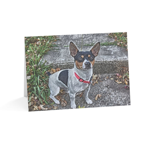 Teddy Roosevelt Terrier Greeting Cards – American Terrier Art Set