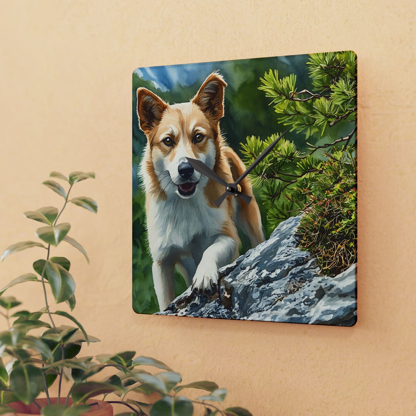 Icelandic Sheepdog Wall Clock | 10.75″ Acrylic Nordic Dog Lover Décor