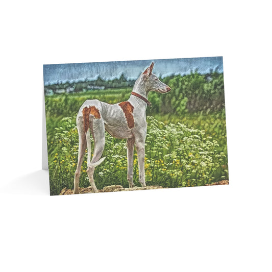 Ibizan Hound Greeting Card Set | Sleek 5″x7″ Blank Dog Lover Cards with Envelopes