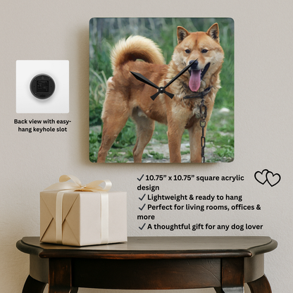 Korean Jindo Dog Wall Clock | 10.75” Acrylic Loyal Dog Breed Décor