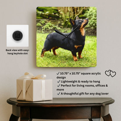 Lancashire Heeler Wall Clock | 10.75” Acrylic Rare Breed Dog Décor
